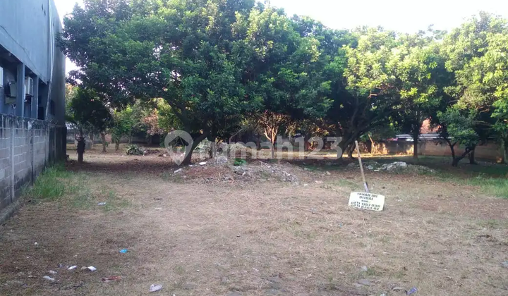 Vacant Land Suitable for a Cluster