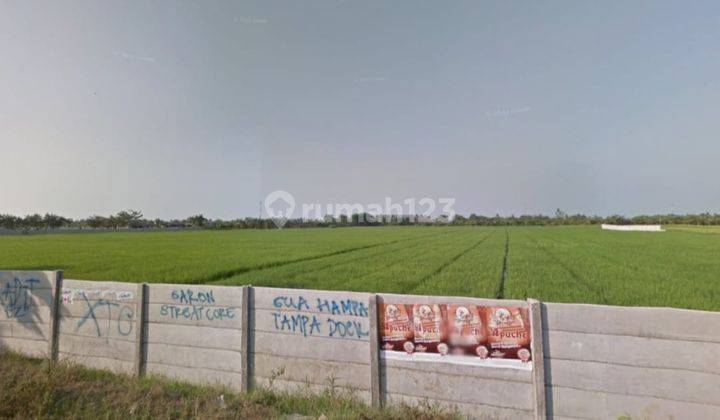 Tanah Dijual Di Jln Raya Cabangbungin Kabupaten Bekasi 2