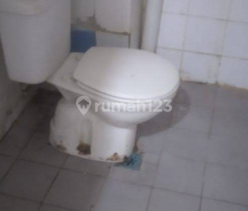 Ruko 1000 fantasy 2 3/4 lantai dintaman Palem  11