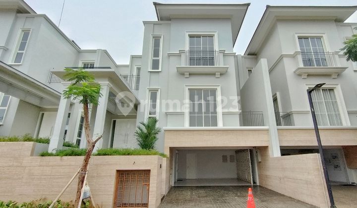 SOUTH GROVE LEBAK BULUS