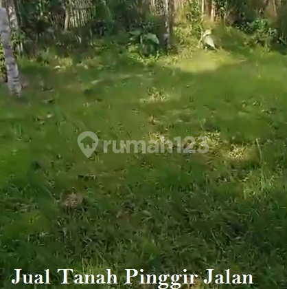 Sale of Flat Roadside Land in Nagrak Sukabumi 4000 m2 with Certificate Sale of Flat Roadside Land in Nagrak Sukabumi 4000 m2 with Certificate