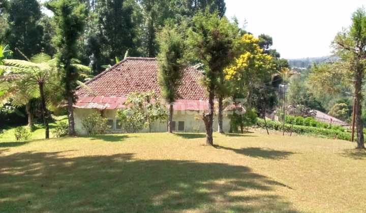 Villa di Puncak Ciloto Diatas Bukit Aston SHM IMB 100 meter dari Jalan Raya