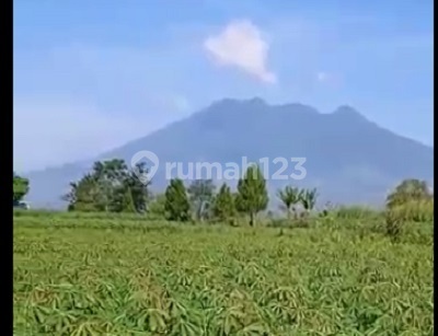 Jual Tanah Bogor Caringin Pinggir Jalan Raya Ramai Dekat Tol Jual Tanah Bogor Caringin Pinggir Jalan Raya Ramai Dekat Tol