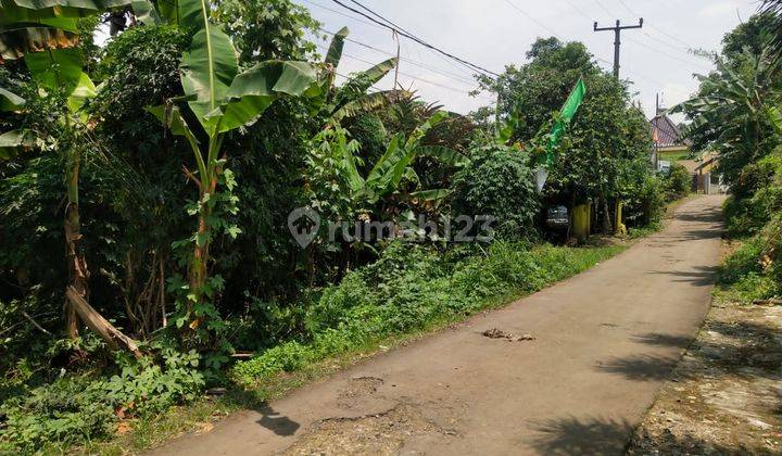 Jual Tanah Murah di Ciomas Bogor Selatan Pinggir Jalan Raya Nego Sampai Jadi 2