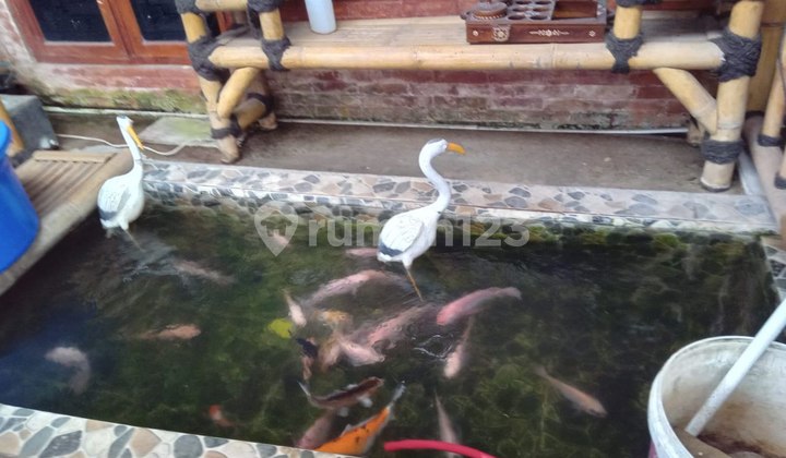 Jual Rumah di Grand Regency Bekasi Terbukti Rumah Bebas Banjir 2