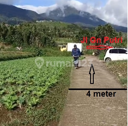 Cheap Land in Puncak Cipanas for Garden, Villa, and House Cheap Land in Puncak Cipanas for Garden, Villa, and House