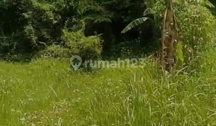 Cipageran Cimahi Tanah Luas Seberang Perumahan Royal Orchid Dijual di Bawah Harga Pasar