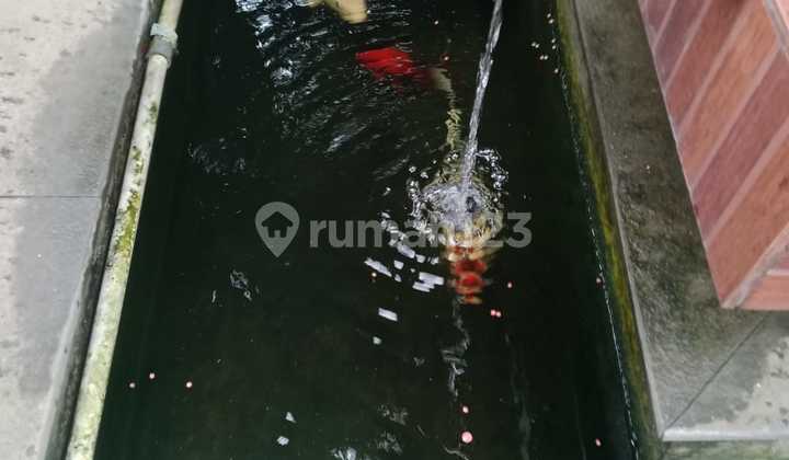 Bkr Bandung Rumah Cantik Siap Huni Pusat Kota Semi Furnished Strategis 2