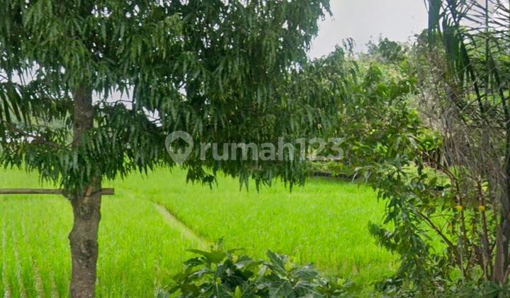 Commercial Land on the Side of the Great Sumber Highway, Cirebon