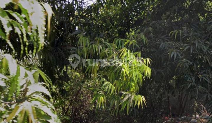 Commercial Plot on the Weru-Sumber Route, Cirebon