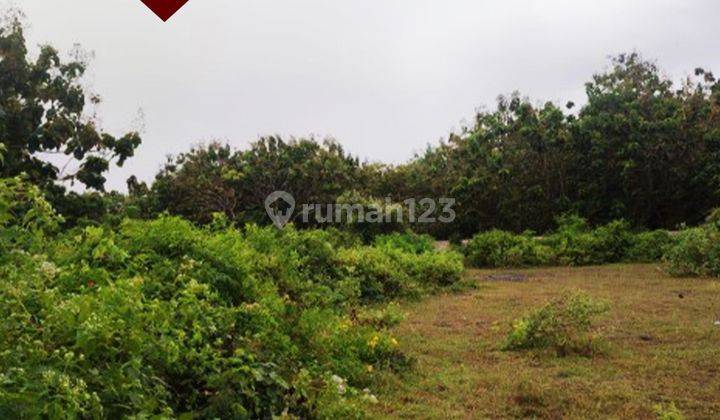 Land for auction, Pecatu Indah Resort Housing, Kab. Badung, Bali 2