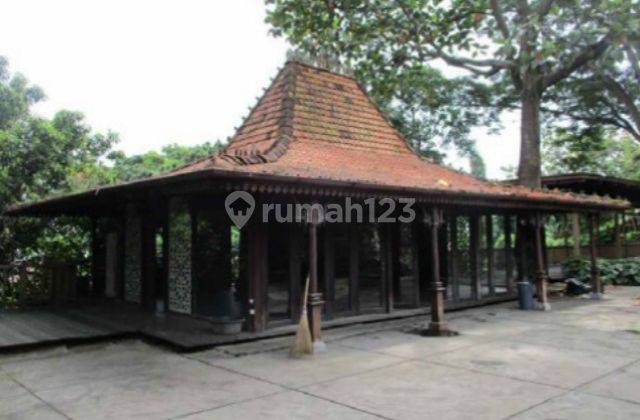 Rumah Tua Hitung Tanah Cilandak  Cocok Untuk Townhouse 1