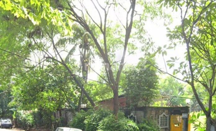 Rumah Tua Tanah Luas Pondok Labu Bisa Townhouse Rumah Tua Tanah Luas Pondok Labu Bisa Townhouse