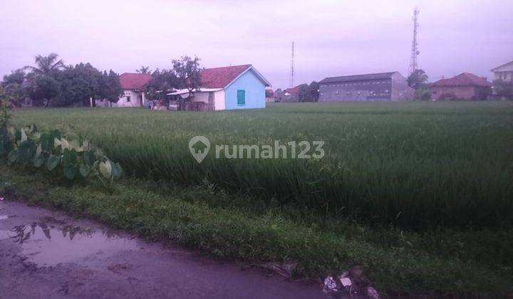 Tanah Hoek Strategis Dekat Bandara Kertajati 2