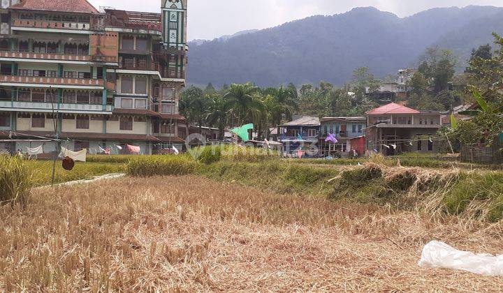 Tanah view pegunungan di desa Batukasur Batulayang Cisarua Bogor 1