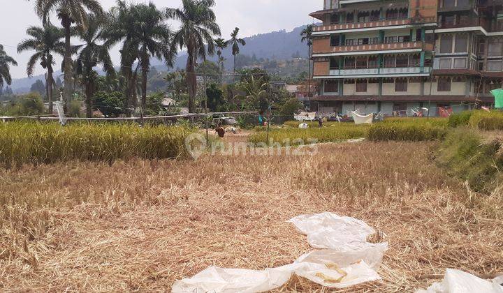 Tanah view pegunungan di desa Batukasur Batulayang Cisarua Bogor 2