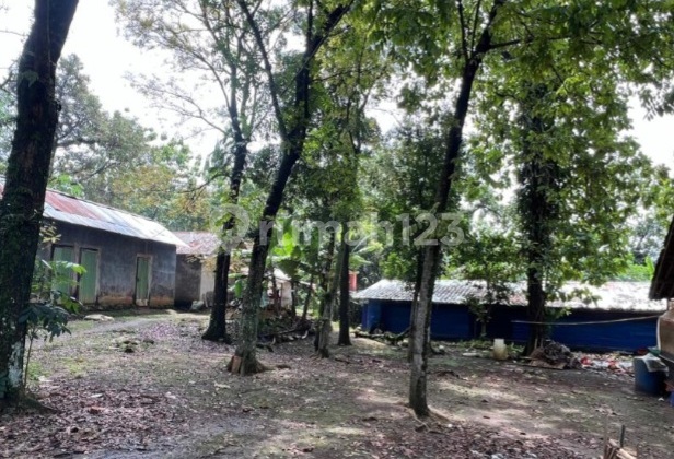 Tanah di Jl. Buntu Malang Desa Cicadas Kec. Ciampea Kab. Bogor Tanah di Jl. Buntu Malang Desa Cicadas Kec. Ciampea Kab. Bogor