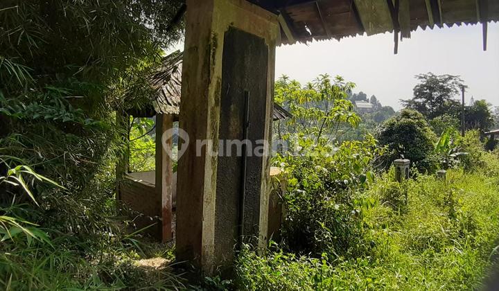 Land Ex Villa in Ciconggang Village, Cijeruk Bogor