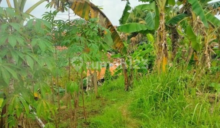 Tanah Komersil Di Jl. Soleh Iskandar Bogor Kota Tanah Komersil Di Jl. Soleh Iskandar Bogor Kota