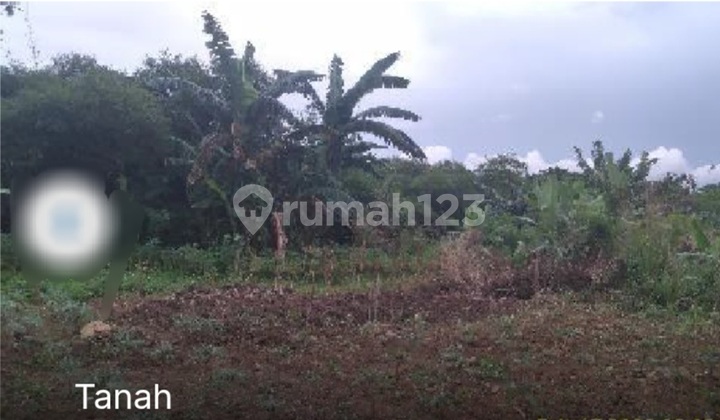 Tanah Komersil Di Desa Leuwinutug Kec.citeureup Bogor