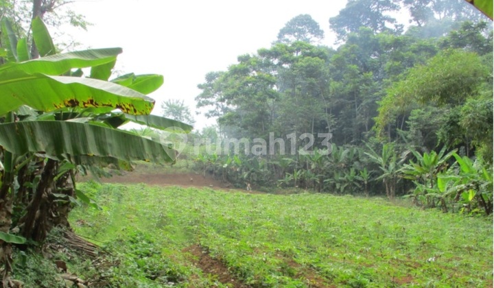 Good Land Location in Bojong Kerta Pesantren, South Bogor Subdistrict.