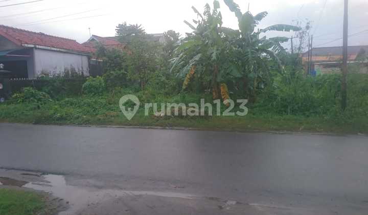Tanah Hoek Strategis Dekat Bandara Kertajati 1
