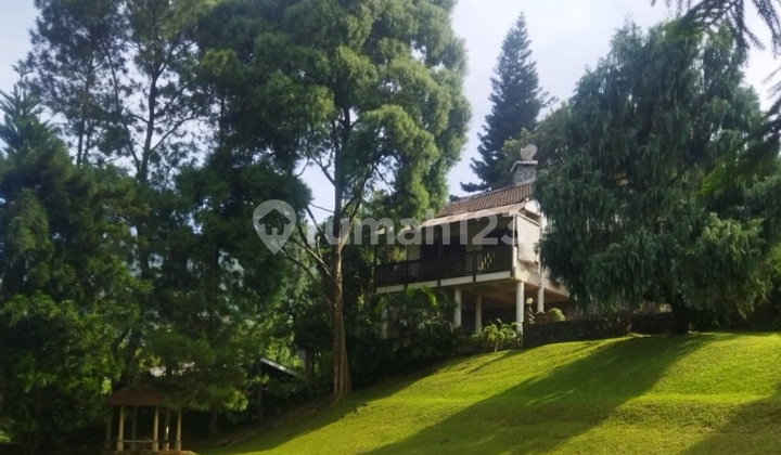 Villa Hook Ciburial Kedaton Tugu Utara Village Cisarua Bogor