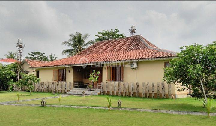 RUMAH ETNIK JAVANESE  1