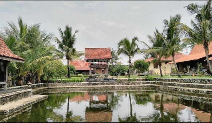 RUMAH ETNIK JAVANESE  2