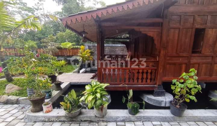 RUMAH ETNIK JAWA MURAH MERIAH 13