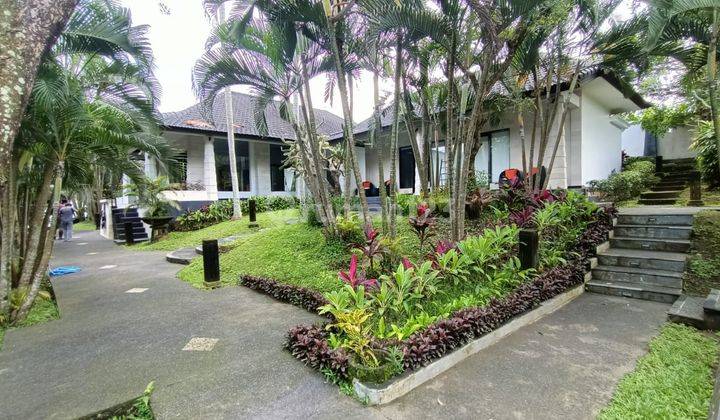 Vila Modern View Hutan, Sungai Yeh Poh Desa Nyambu Kediri Tabanan 2