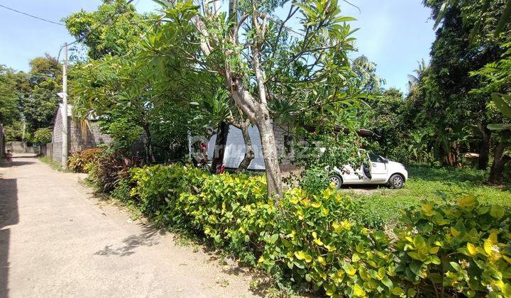 Jual Cepat Tanah Lokasi Strategis 10 Menit Jalan Kaki Ke Pantai,View Pantai & Bukit Di Gerokgak Singaraja 2