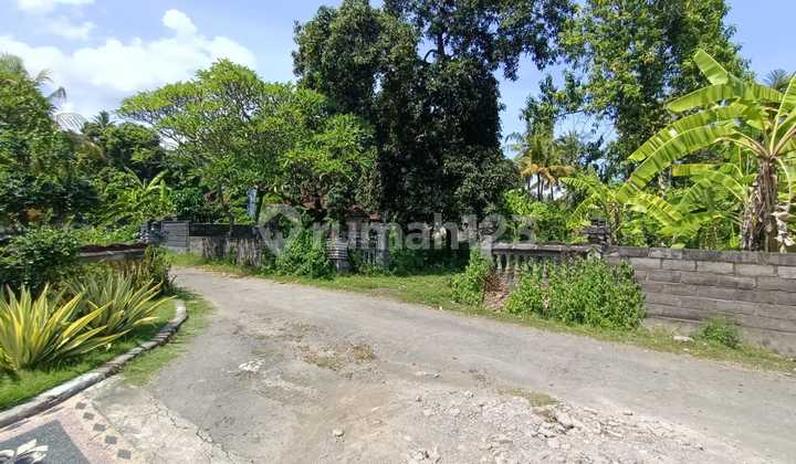 Jual Cepat Tanah Lokasi Strategis Hanya 30 Meter Dari Jalan Utama Gerokgak Singaraja 3