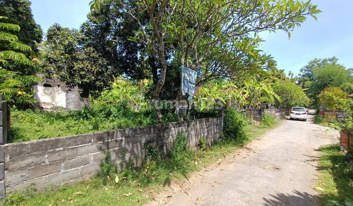 Jual Cepat Tanah Lokasi Strategis Hanya 30 Meter Dari Jalan Utama Gerokgak Singaraja 2