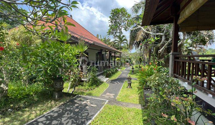 Selling Cheap Bonus Villa View Jungle Land in Batuan Ubud 1