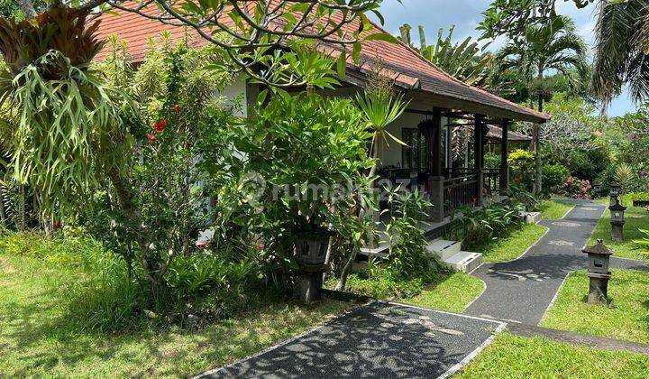 Selling Cheap Bonus Villa View Jungle Land in Batuan Ubud 2