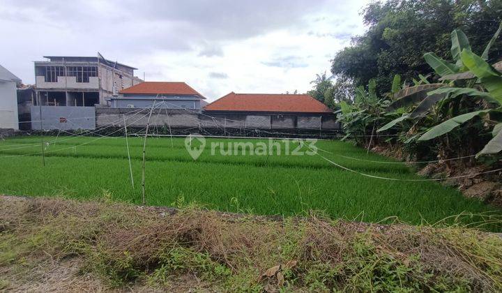 Tanah View Sawah Strategis, Semer Kerobokan Dekat Umalas & Canggu 2