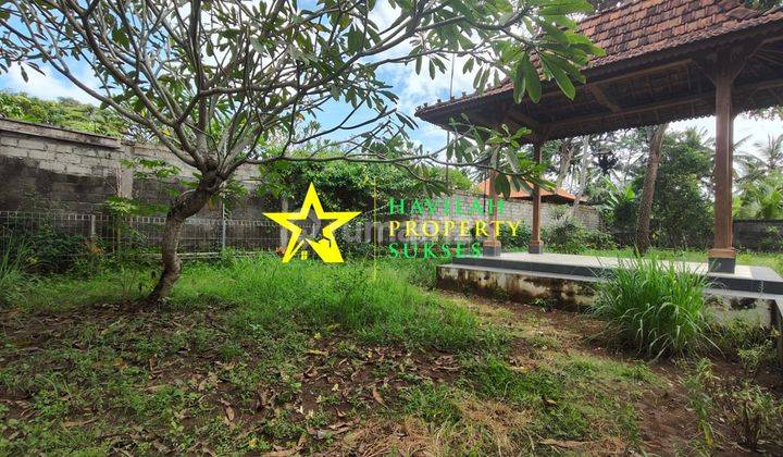 Sewa Tahunan, Rumah Lantai 1 Halaman Luas Di Kemenuh, Dekat Ke Central Ubud 2