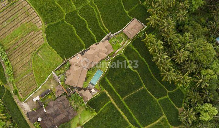 5 Bedrooms Villa With Ricefield View,Pejeng, Near To Central Ubud 2