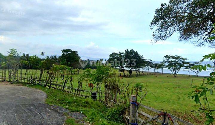 Special Land Only 200 Meters To The Beach, Saba, Gianyar 1