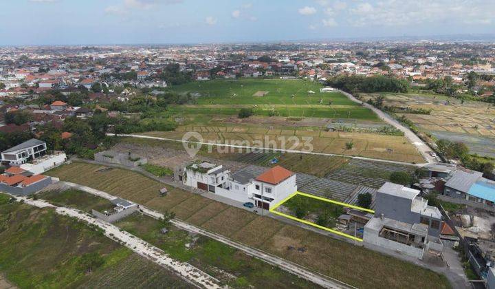 Dijual Cepat Tanah Langka View Sawah Di Kedampang,Kerobokan 2