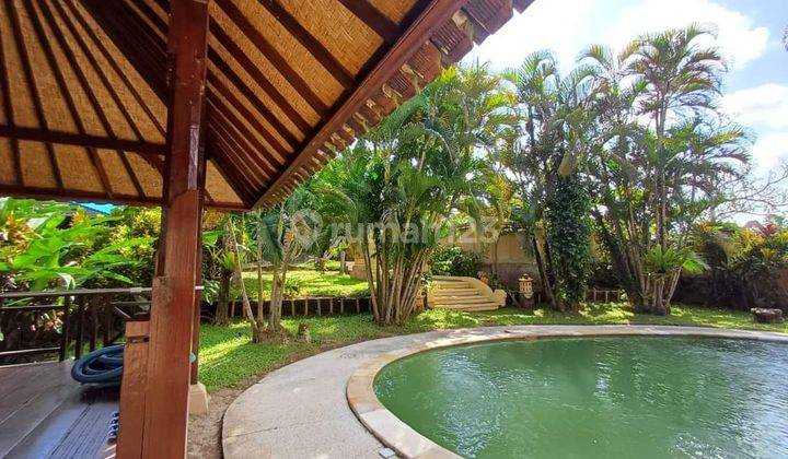 Villa With Big Garden,Ricefeld And Jungle View,In Kemenuh,Ubud 2