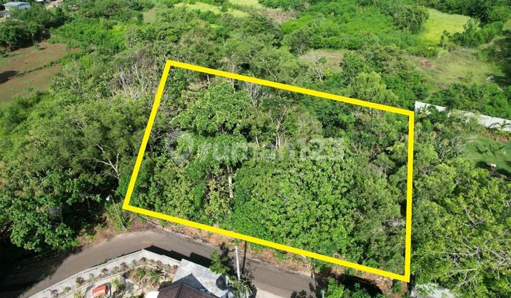 Tanah Lokasi Premium Di Batu Manik, Uluwatu Tanah Lokasi Premium Di Batu Manik, Uluwatu