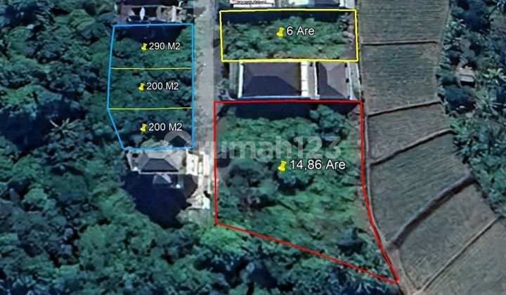 Strategic Land Location with Rice Field & Sea Views, Near Dyatmika School, Ketewel, Gianyar