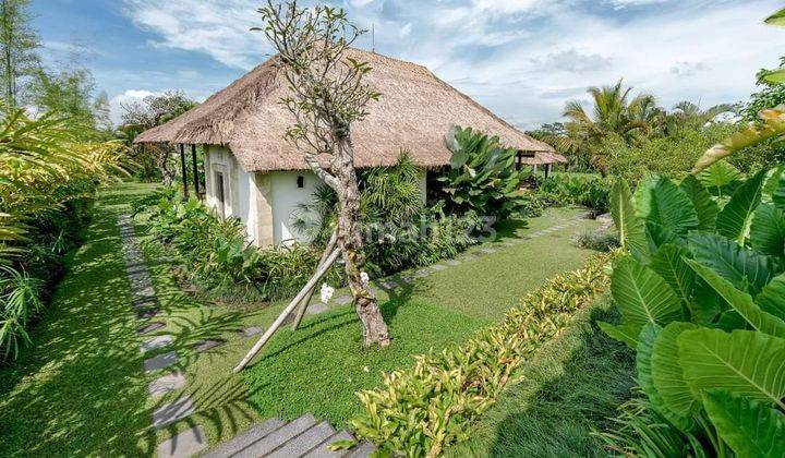 Beautiful Villa With Ricefield View In Tegalalang,ubud 1