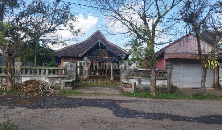 Jual Cepat Rumah Bonus Toko Di Parastembok, Sempu, Banyuwangi 2