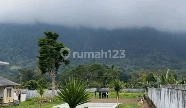 Special Land Strategic Location in Bedugul, Bali Special Land Strategic Location in Bedugul, Bali