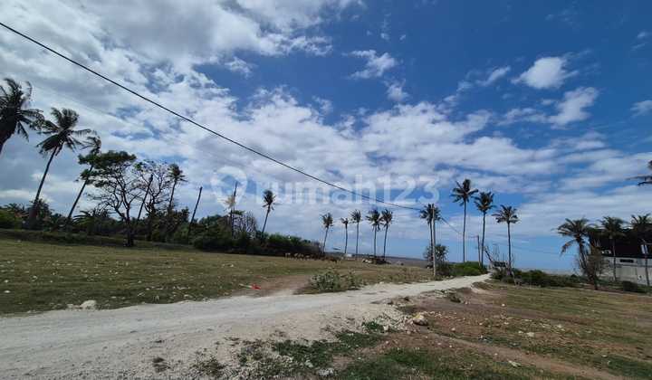 Rare Land! Beachfront Pantai Saba, Gianyar