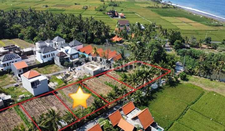 Land for Sale with Ocean View & Ricefield View in Ketewel, Gianyar