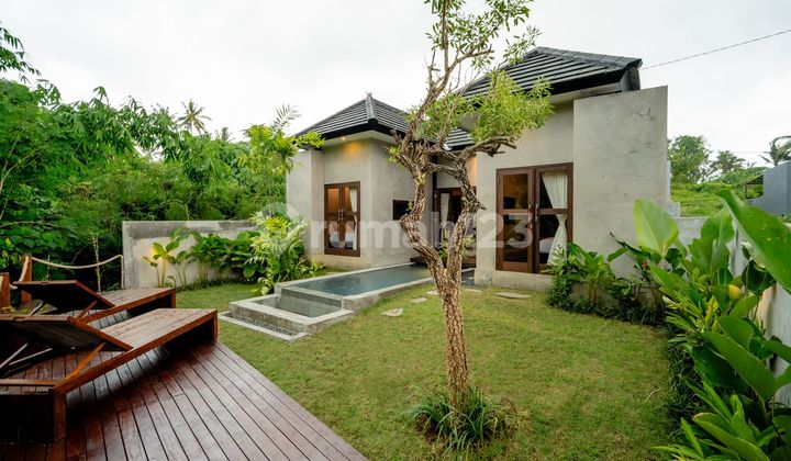 Leasehold 25 Years, Beautiful Villa With River & Jungle View In Saba, Gianyar